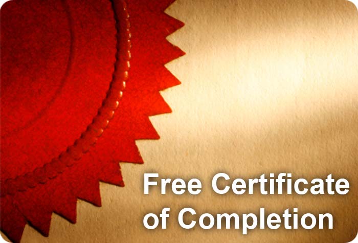 Free Completion Certificate